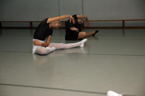 sekcje-balet 18